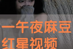 视频xxx,揭秘xxx视频背后的精彩故事